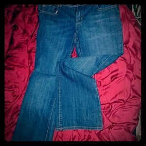 Chip and Pepper Laguna Beach Flare Size 11 Jeans
